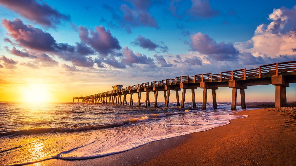Top Summer Events in North County San Diego